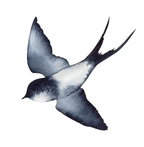 Introducing the Andorinha Collection: Celebrating the Iconic Portuguese Swallow in Style - Atlantic Wave