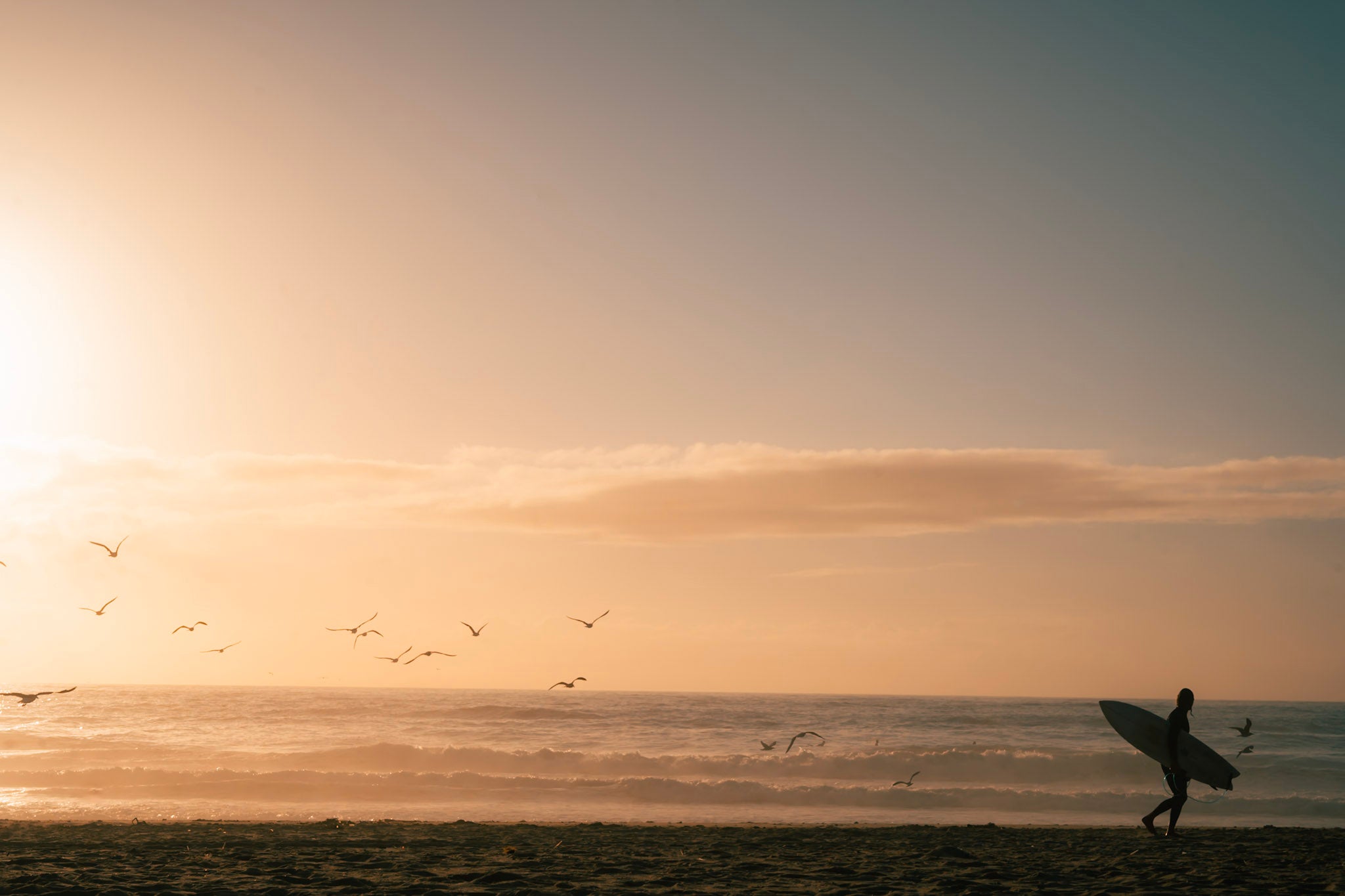 Person with a surfboard walking on a beach at sunset with birds flying in the sky.